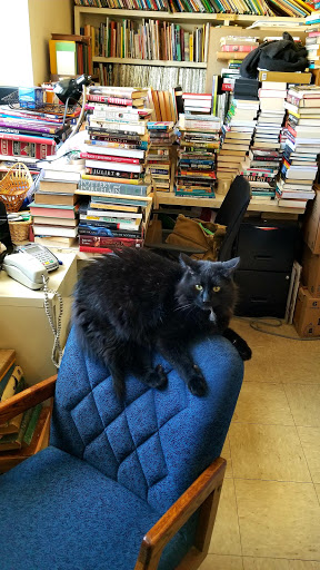 Used Book Store «Indian Path Books», reviews and photos, 514 Ridge Rd, Spring City, PA 19475, USA