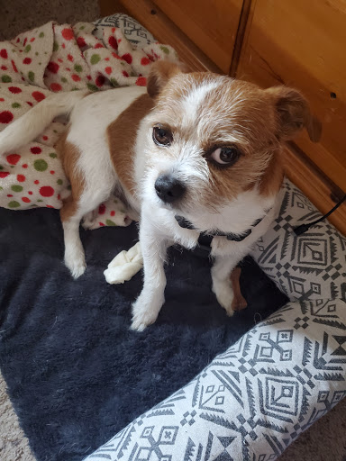 9077 National Rd SW, Etna, OH 43062, USA