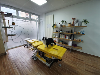 Cabinet chiropratique de Juvisy - Choisnard Annabelle à Juvisy-sur-Orge
