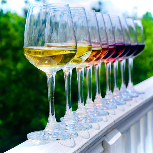 Vineyard «Frogtown Cellars», reviews and photos, 700 Ridge Point Dr, Dahlonega, GA 30533, USA