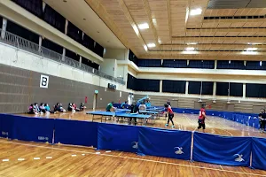 Miyako Island Athletics Gym image