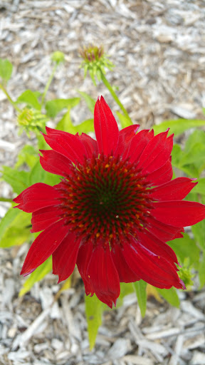 Water Park «Magic Waters», reviews and photos, 7820 Cherryvale N Blvd, Cherry Valley, IL 61016, USA