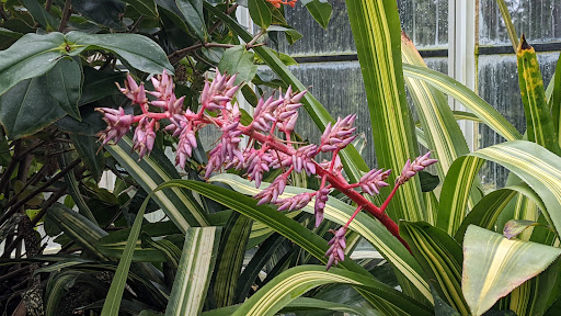 Park «Volunteer Park», reviews and photos, 1247 15th Ave E, Seattle, WA 98112, USA