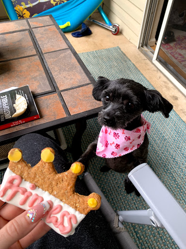 Pet Supply Store «Treats Unleashed», reviews and photos, 306 Mid Rivers Center, St Peters, MO 63376, USA