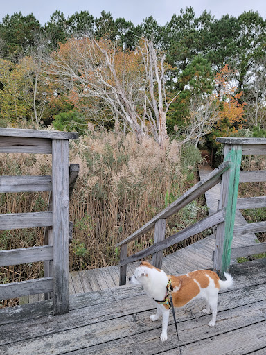Nature Preserve «James Farm Ecological Preserve», reviews and photos, 30048 Cedar Neck Rd, Ocean View, DE 19970, USA