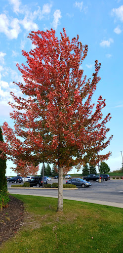 Gym «Life Time Fitness», reviews and photos, 18425 Dodd Blvd, Lakeville, MN 55044, USA