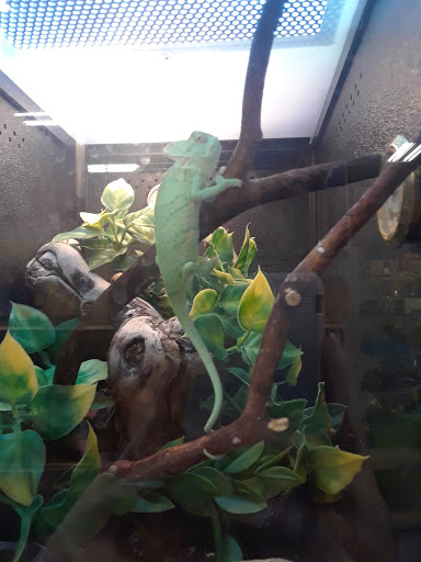 Pet Supply Store «PetSmart», reviews and photos, 4900 Rogers Ave #102a, Fort Smith, AR 72903, USA