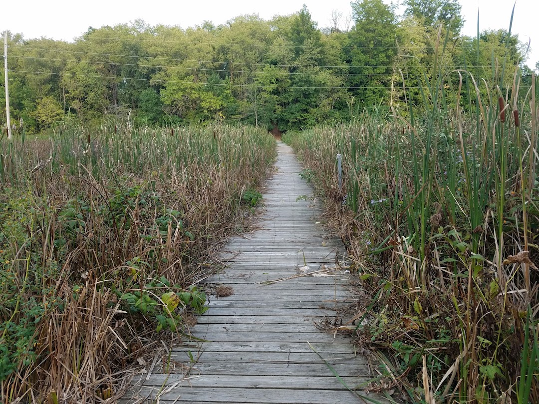 Audubon Wetlands Preserve