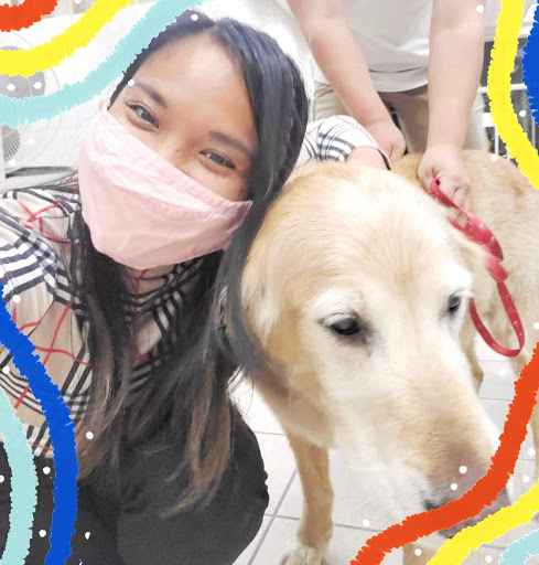 Car Dealer «Hanlees Napa Subaru», reviews and photos, 495 Soscol Ave #10, Napa, CA 94559, USA