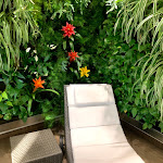 Photo n°22 de l'avis de Alexander.E fait le 14/08/2019 à 16:56 sur le  Hotel Italia Palace à Lignano Sabbiadoro