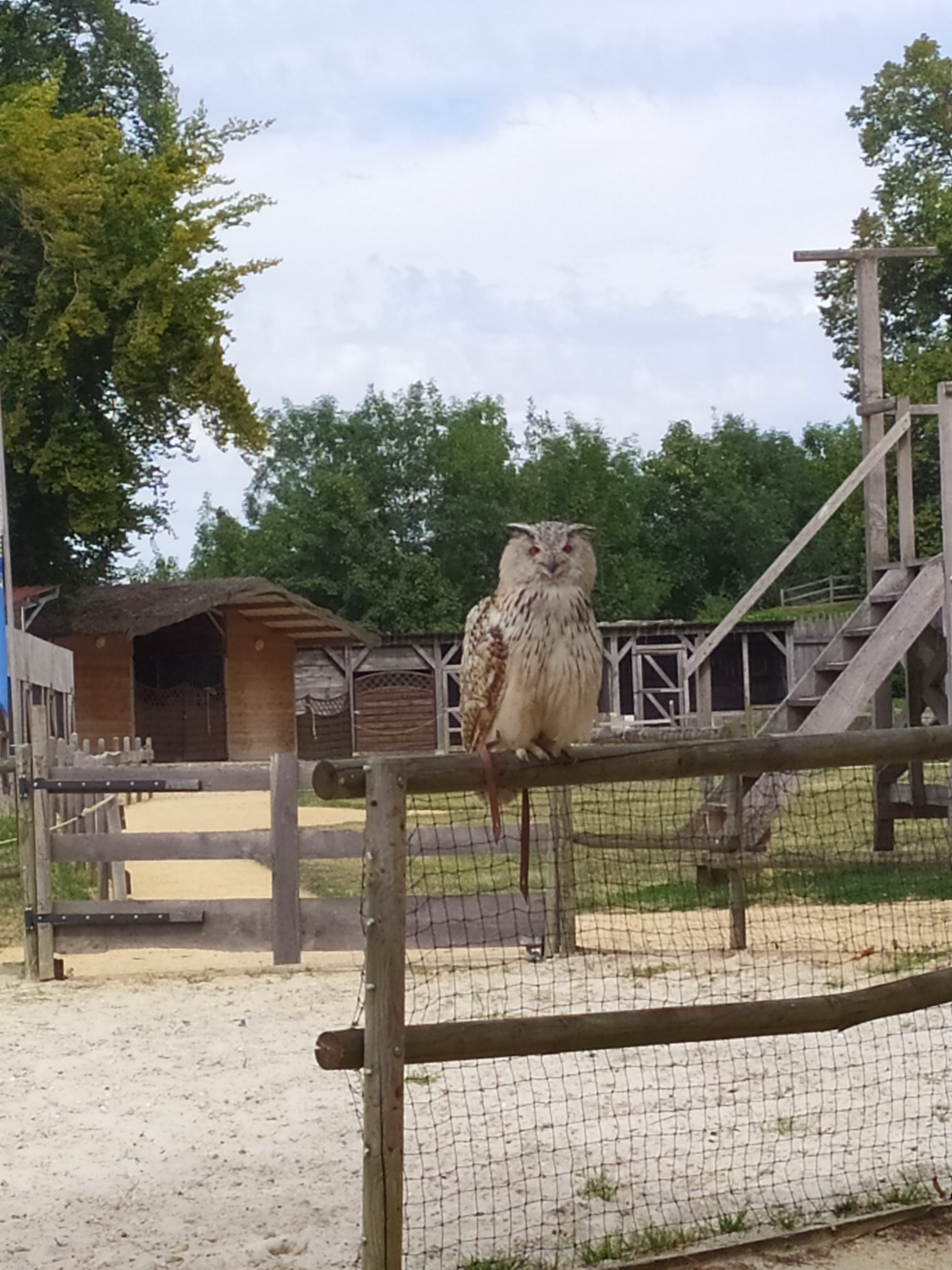 Photo n° 5 de l'avis de Virginie. fait le 05/08/2019 à 06:37