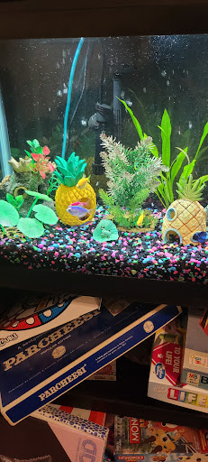 Pet Supply Store «PetSmart», reviews and photos, 19 Clifton Country Rd, Clifton Park, NY 12065, USA