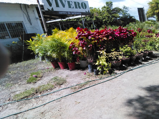 Centro jardineria Barquisimeto