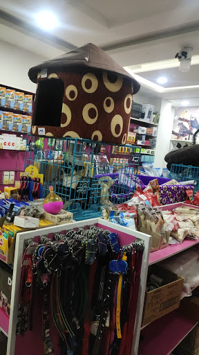 Bhavya Pet Care - Pet Shop Jaipur