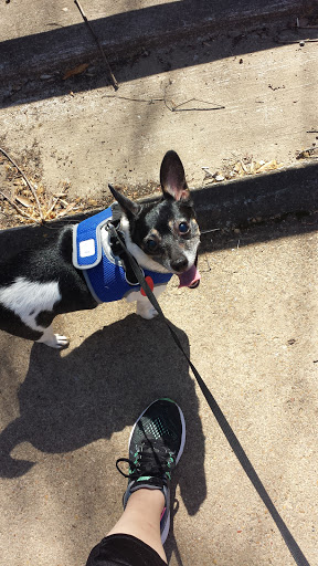 State Park «Vicksburg National Military Park», reviews and photos, 3201 Clay St, Vicksburg, MS 39183, USA