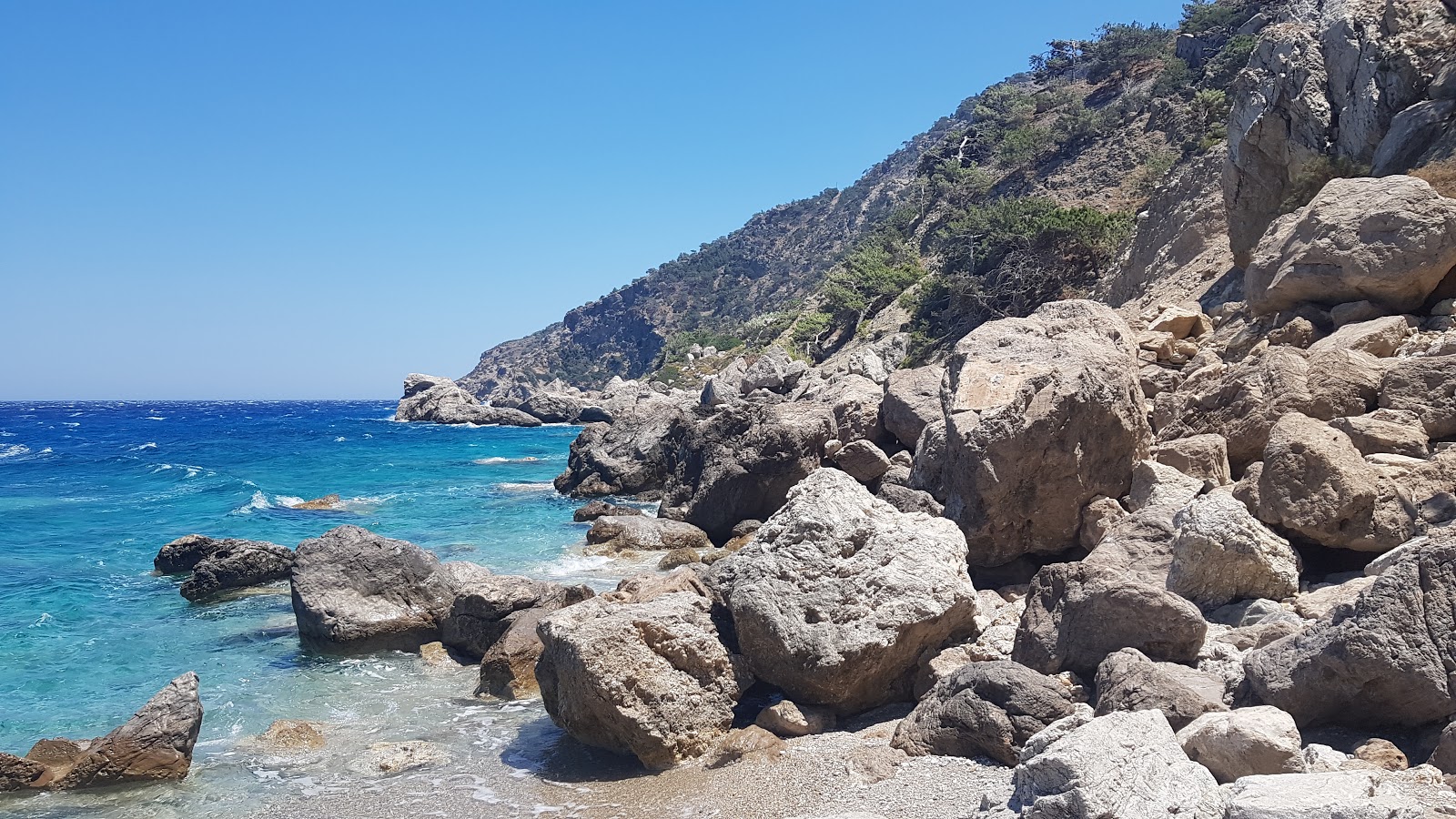 Evangeline beach'in fotoğrafı vahşi alan