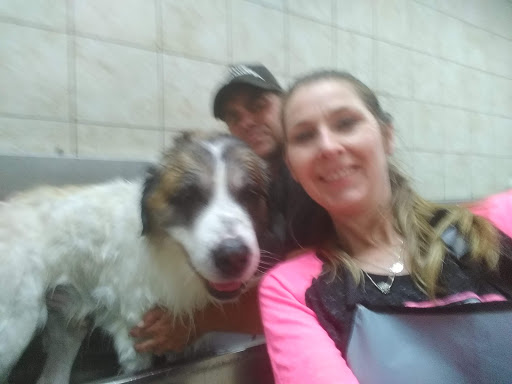 Pet Supply Store «Pet Supplies Plus», reviews and photos, 1012 W Hebron Pkwy #120, Carrollton, TX 75010, USA