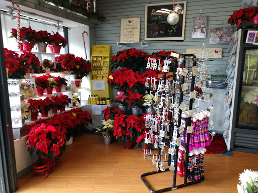 Florist «Lollipops & Roses Florist», reviews and photos, 450 Salem St, Medford, MA 02155, USA