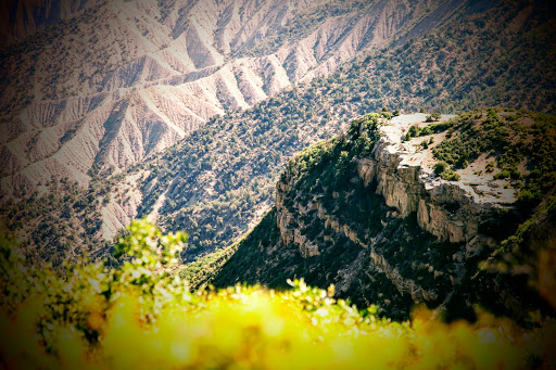 National Park «Mesa Verde National Park», reviews and photos