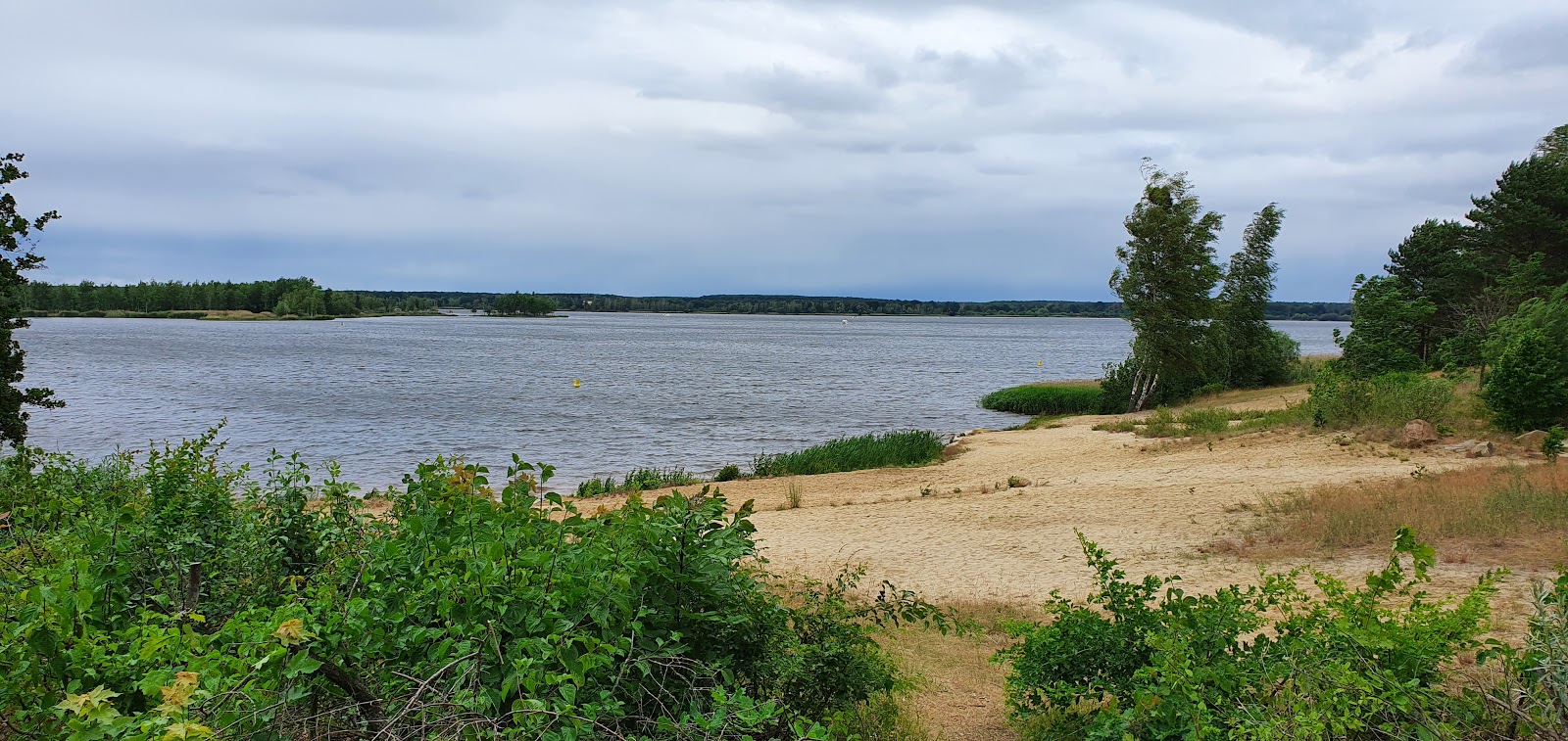 Photo de Senftenberg Strand avec rivage droit, long