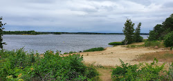 Photo de Senftenberg Strand avec rivage droit, long
