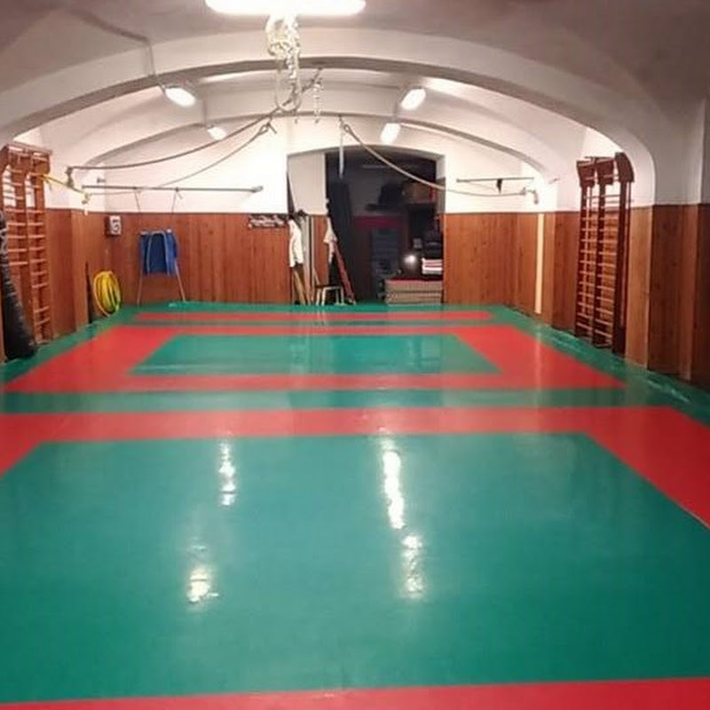 Gym Budo Semmon Gakko