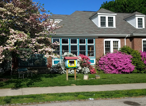 Little Free Library - Rector & Houghton Streets