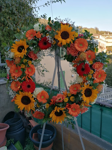 Rezensionen über Fiorinfiorello Sagl in Lugano - Blumengeschäft