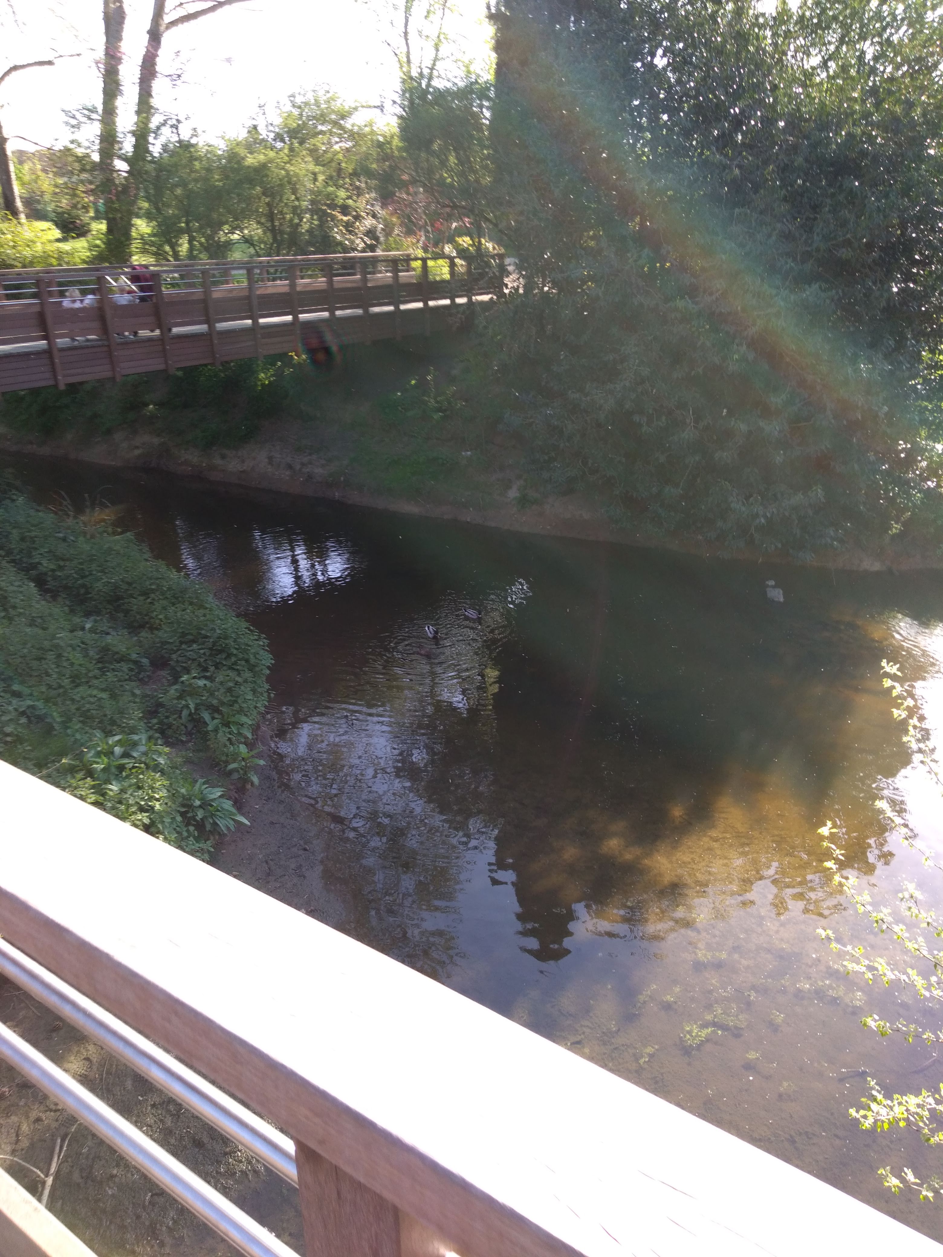 Photo n° 4 de l'avis de Cheikh.d fait le 19/04/2019 à 16:56