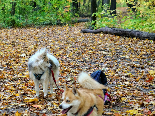 Hiking Area «Hammel Woods - Route 59 Access», reviews and photos, 554 Brook Forest Ave, Shorewood, IL 60404, USA