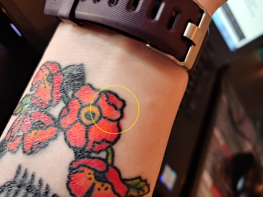 Explore lion forearm tattoo ideas, creative tattoo ideas in Fort Collins, available at Rocksteady Tattoo