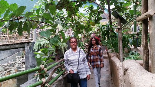 Zoo «Tropic World», reviews and photos, 3300 Golf Rd, Brookfield, IL 60513, USA