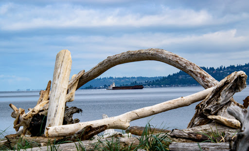 Park «Point Robinson Park», reviews and photos, 3705 SW Point Robinson Rd, Vashon, WA 98070, USA