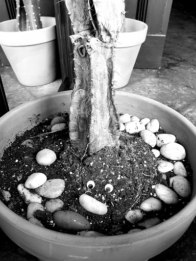 Coffee Shop «Brother Moto», reviews and photos, 670 Memorial Dr SE, Atlanta, GA 30312, USA