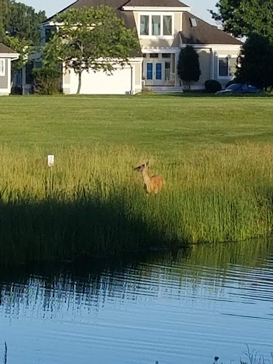 Golf Club «Bethany Bay Golf Club», reviews and photos, 37270 Clubhouse Ln, Ocean View, DE 19970, USA