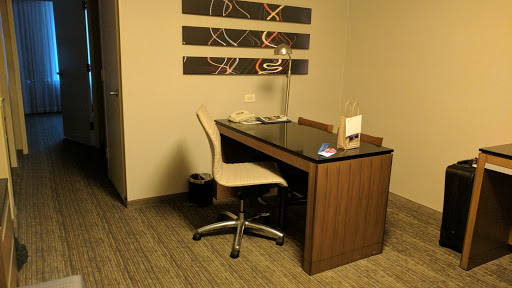 Hotel «Embassy Suites Chicago Downtown Magnificent Mile», reviews and photos, 511 N Columbus Dr, Chicago, IL 60611, USA