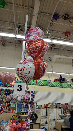 Dollar Store «Dollar Tree», reviews and photos, 1031 E Oakton St, Des Plaines, IL 60018, USA