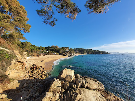 Plage de Cala Gogo