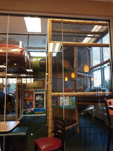 Fast Food Restaurant «Chick-fil-A», reviews and photos, 4132 US Hwy 98 N, Lakeland, FL 33810, USA