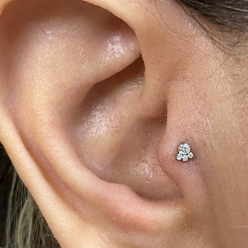 Tattoo Shop «Fight or Flight Tattoo», reviews and photos, 206 Summer St, Fitchburg, MA 01420, USA