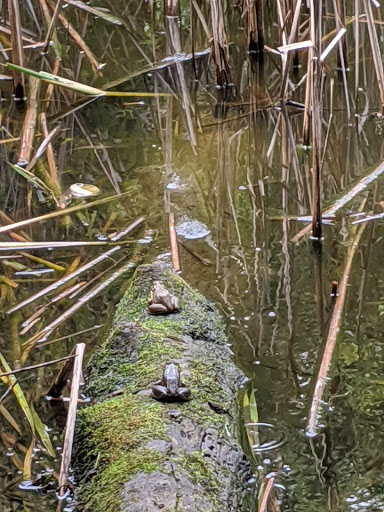 Nature Preserve «Hickory Creek Preserve», reviews and photos, Wolf Rd, Mokena, IL 60448, USA