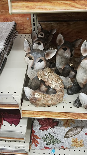 Discount Store «Big Lots», reviews and photos, 1941 Veterans Blvd, Dublin, GA 31021, USA