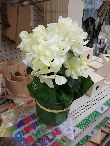 Dollar Store «Dollar Tree», reviews and photos, 43150 Broadlands Center Plaza #110, Ashburn, VA 20148, USA