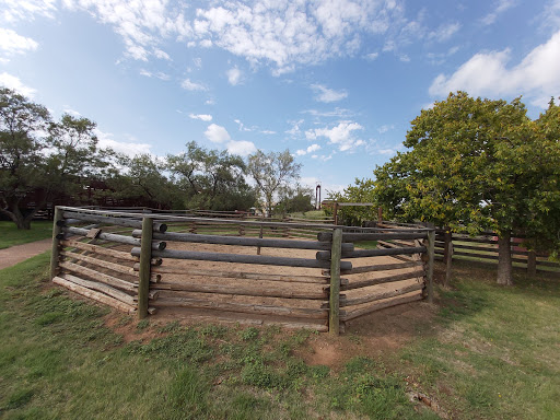 Museum «Museum of Texas Tech University», reviews and photos, 3301 4th St, Lubbock, TX 79415, USA