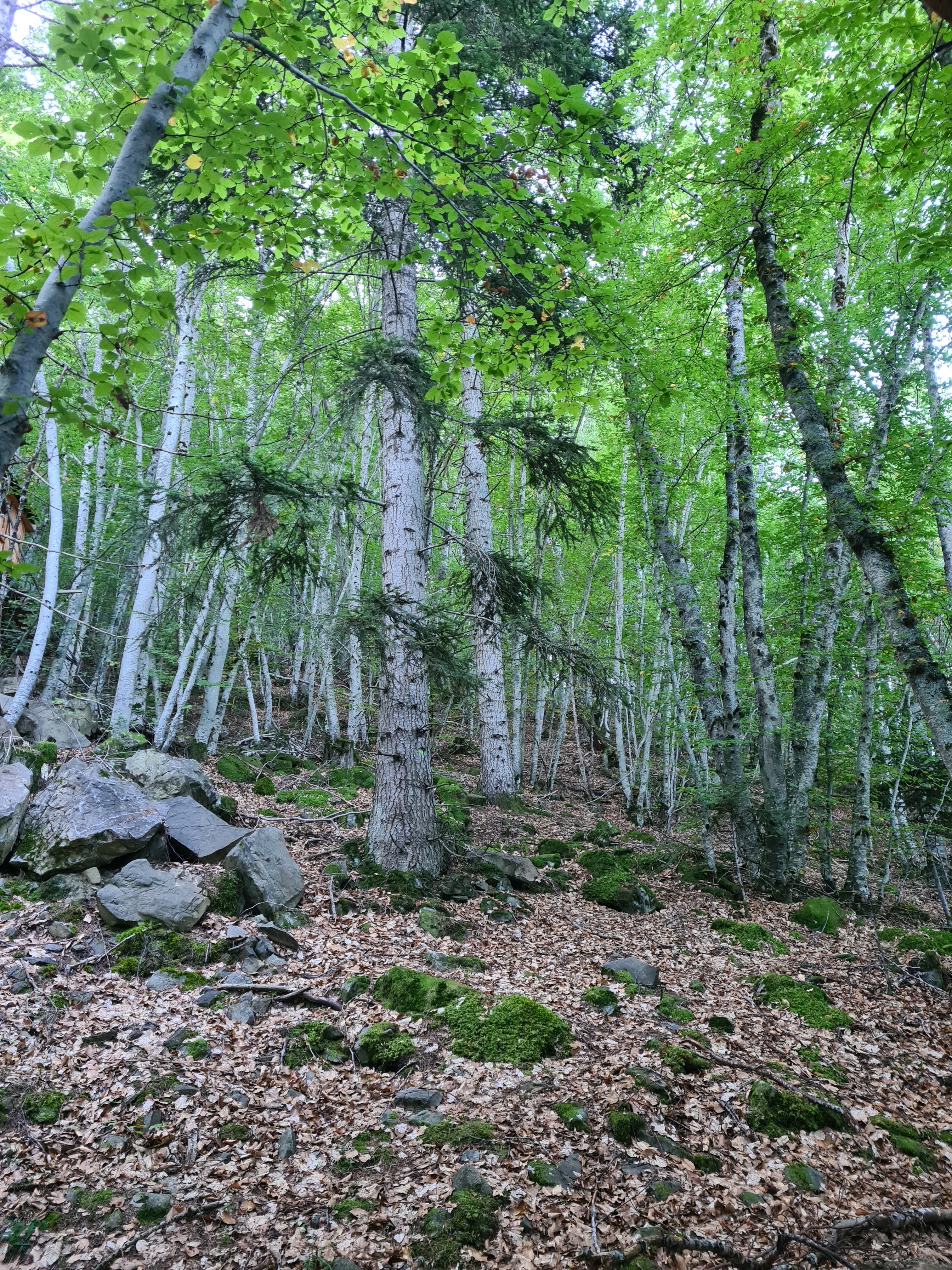 Photo n° 8 de l'avis de Serne.a fait le 01/10/2023 à 13:19