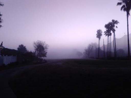 Golf Course «Crane Lakes Golf & Country Club», reviews and photos, 1850 Crane Lakes Blvd, Port Orange, FL 32128, USA