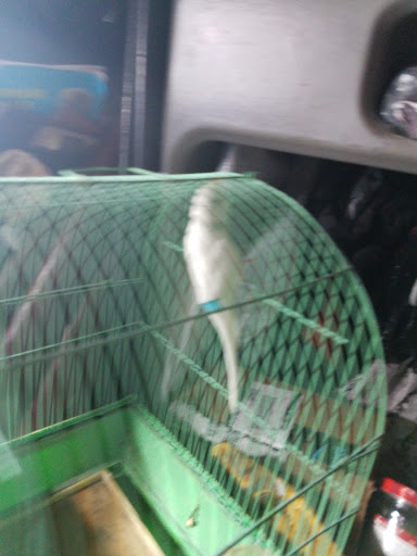 Inez Pet Shop, 3825 Whittier Blvd, Los Angeles, CA 90023, USA, 