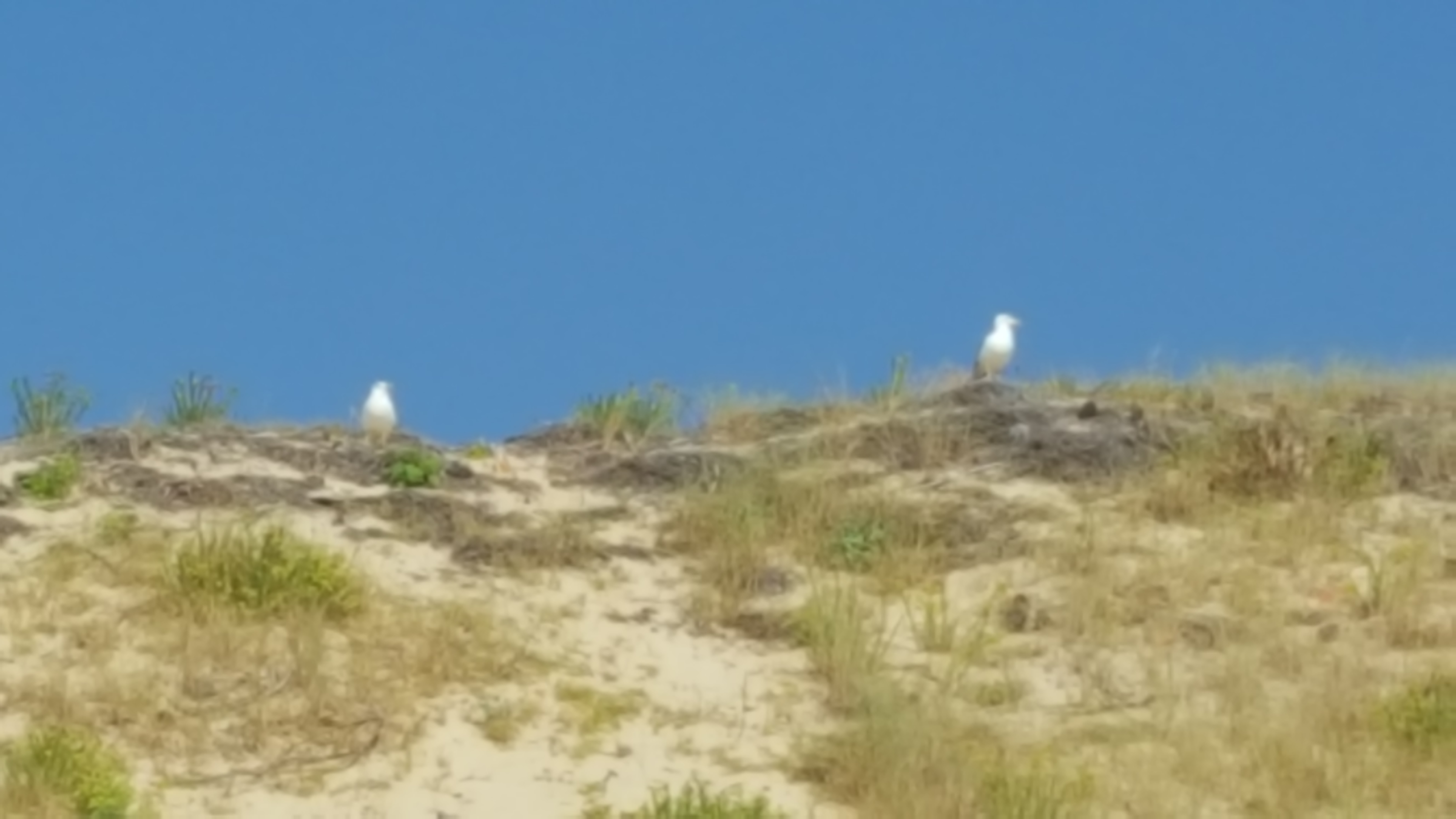 Photo n° 1 de l'avis de Bé.h fait le 05/08/2018 à 18:36