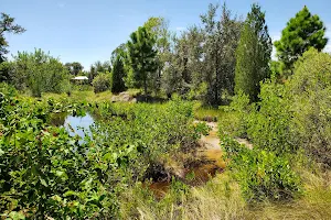 Ungarelli Preserve image