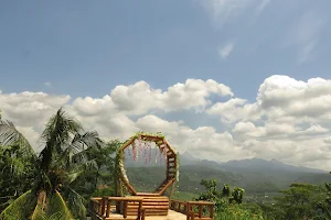 Wisata Kampung Mandor image